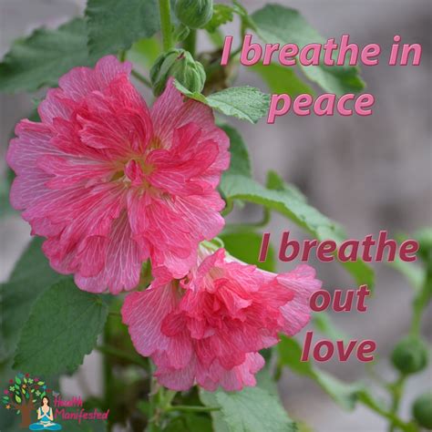 I Breathe In Peace I Breathe Out Love Rinspiration