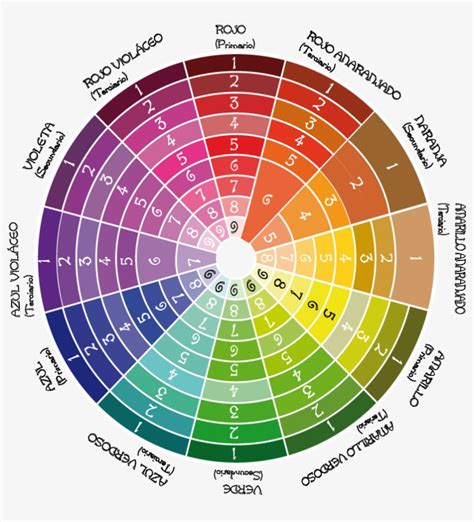 Circulo Cromatico Para Micropigmentacion Color Wheel 34000 En Images