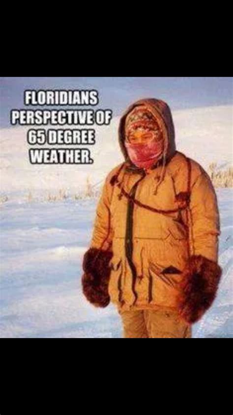 Pin By Amy Glick On ~ Kewl Too Funny Photos ~ Florida Funny Cold