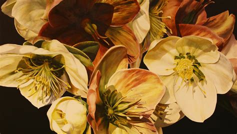 The Art Of Botanical Painting Hahnemühle Blog