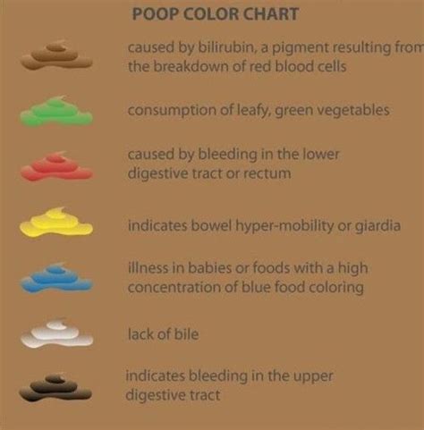 Color Of Your Poop Chart Stool Color Changes And Chart What Does It