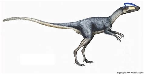 Guanlong Pictures And Facts The Dinosaur Database