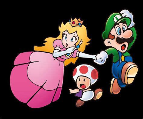 Luigi Princess Peach And Toad Mario Art Mario Bros Super Mario Bros