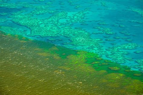 The Great Barrier Reef Is In Trouble There Are A Whopping 45 Reasons Why