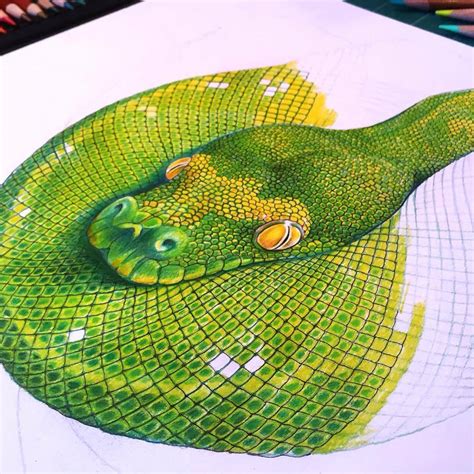 Tim Jeffs Art — More Progress On My Green Tree Python