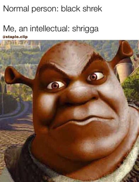 Shrigga Knigga Know Your Meme