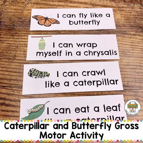 Preschool Caterpillar And Butterflies Lesson Planning Ideas