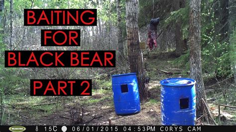 Baiting For Black Bear 2015 Part 2 Youtube