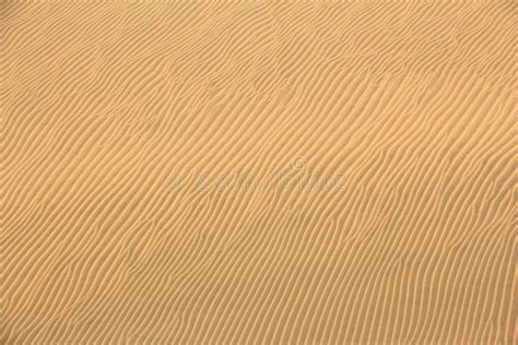 Sand Desert Ripple Surface Stock Image Image Of Texture 207468117