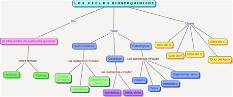 Mapa Mental Ciclos Biogeoquimicos Edulearn