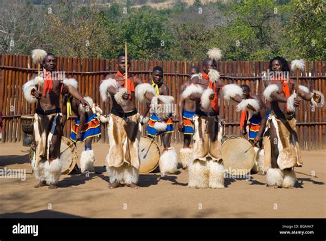Swazi Dance Mantenga Cultural Village Swaziland Stock Photo Alamy