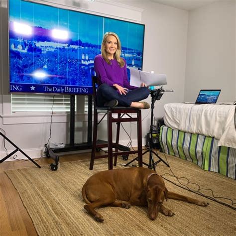 Coronavirus Nj Fox News Dana Perino Broadcasts From Her Bay Head Home