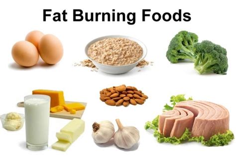 The volunteers reduced their waist sizes by an average of 1 inch for every 4lb (1.81kg) they lost. 10 Filling Foods That Can Help You Lose Weight. - Botswana ...