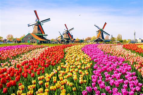 Website of the ministry of foreign affairs of the netherlands. The Netherlands sheds its "Holland" nickname in the new year - Lonely Planet