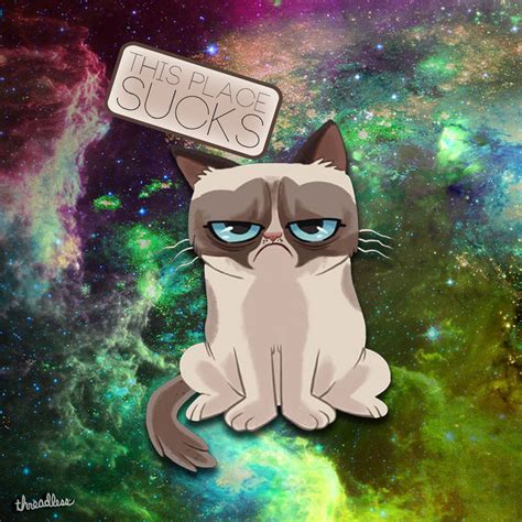 Score Grumpy Cat In Space By Rmargeson On Threadless