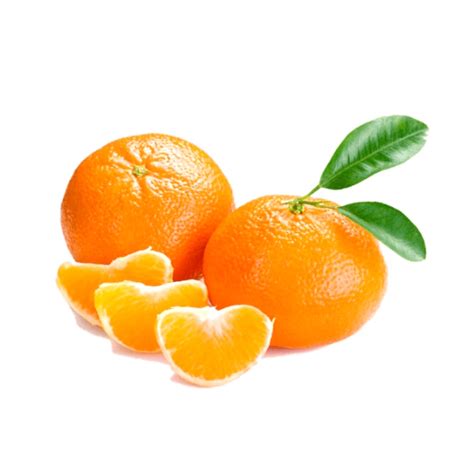 1 Kg Mini Orange Mandrin South Africa Aditya Agro Fresh