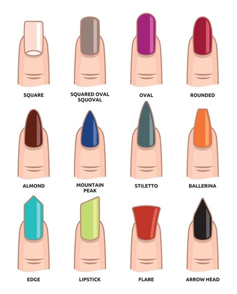 Hold the file parallel to the side of the nail when beginning your filing. 12 Trendy Looking Nail Shapes For This Fall and Winter ...