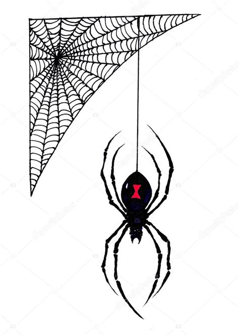 Black Widow Spider Drawing At Getdrawings Free Download