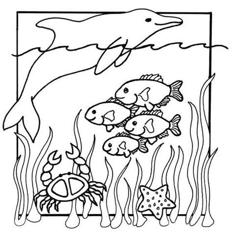 Easy Sea Animal Coloring Pages For Kids Kids Art And Craft