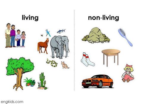 Living And Non Living Things By Ilopezd Issuu