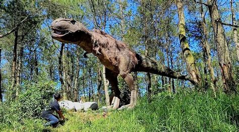 Dinosaurus Park Spot Baru Di Mojosemi Forest Magetan Yang Jadi Buruan