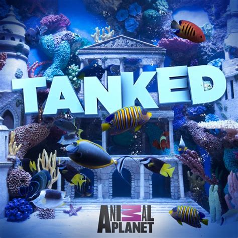 Watch Tanked Season 10 Episode 7 Imaginarium Aquarium Online 2016