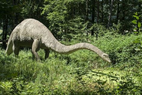 Comment Les Dinosaures Sont Apparus Sur Terre L Univers Des Dinosaures