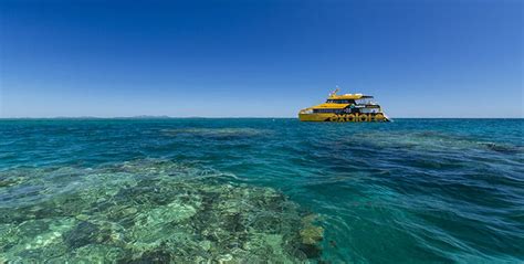 Explore Full Day Snorkelling And Diving The Outer Great Barrier Reef