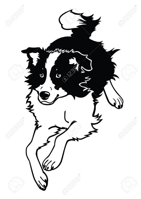 Border Collie Outline Free Download On Clipartmag
