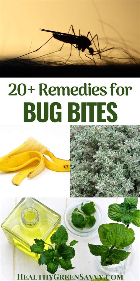 home remedies for mosquito bites ~ 20 natural ways to stop itch fast in 2021 remedies for