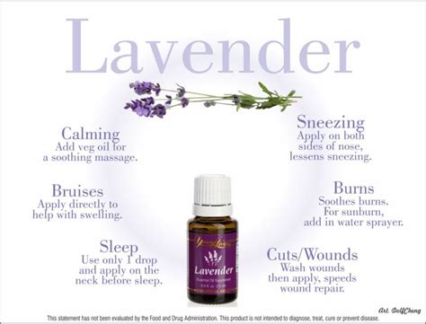 Young Living Lavender Essential Oil Everyday Oils Living Essentials