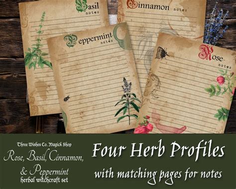 Printable Herb Profiles Book Of Shadows Pages Herb Etsy Canada