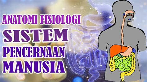 Anatomi Dan Fisiologi Sistem Pencernaan Manusia Youtube