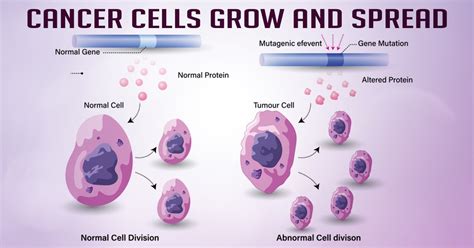 How Do Cancer Cells Grow And Spread Health Reactive Body Revival