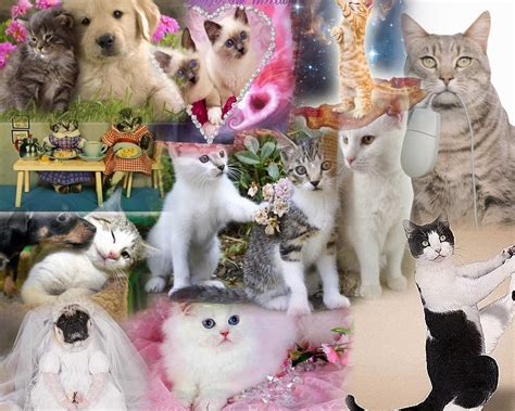 Animal Collage Wallpaper