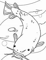 Kolorowanki Ryby Catfish Poisson Arc Coloringbay Kolorowania Benjaminpech Obrazki Rybami Wydruku Malowanki sketch template