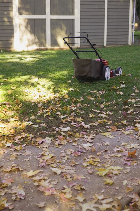 Get Your Lawn Mower Ready For Winter