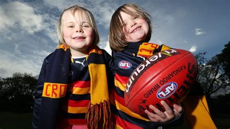 Free delivery and returns on ebay plus items for plus members. Adelaide Crows consider a city nest for pokies revenue ...