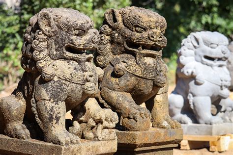 Sold Lava Stone Foo Dogs Or Shishi Guardian Lions Statues Hand Carved