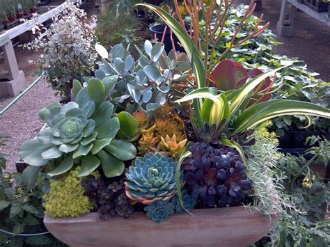 Container Gardening Ideas For Shade Front Yard Landscaping Ideas