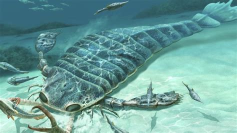 Worlds Largest Animals Ever Found