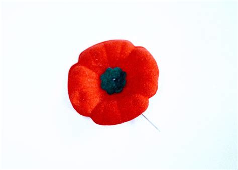 Wearing A Poppy Can Send Mixed Messages Gallinger Toronto Star
