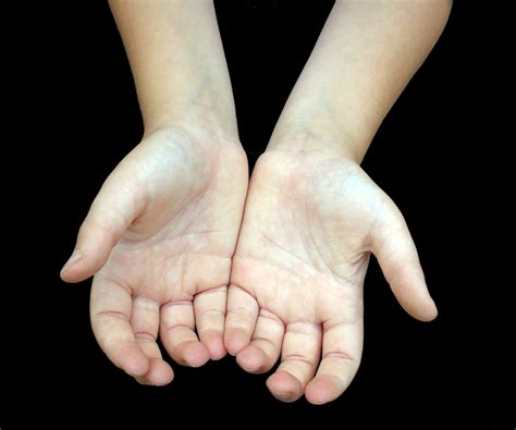 Free Hands Download Free Hands Png Images Free Cliparts On Clipart