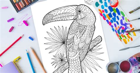 Zentangle Toucan Coloring Page Kids Activities Blog