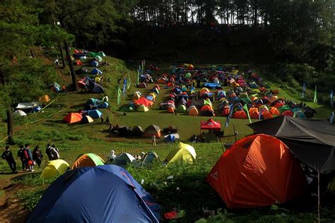 Keseruan Summer Camp Di Kawasan Wisata Hutan Pinus Malino Sulawesi Selatan