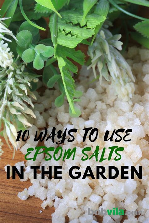10 Ways To Use Epsom Salts In The Garden Plant Benefits Vertical