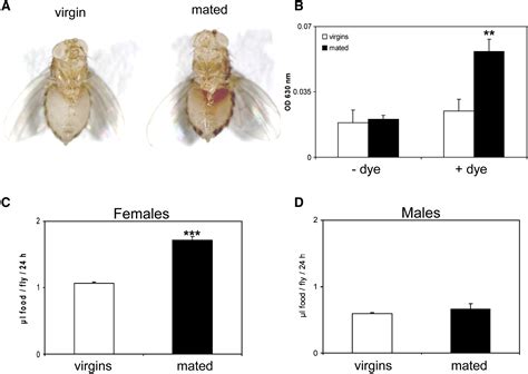 Allocrine Modulation Of Feeding Behavior By The Sex Peptide Of