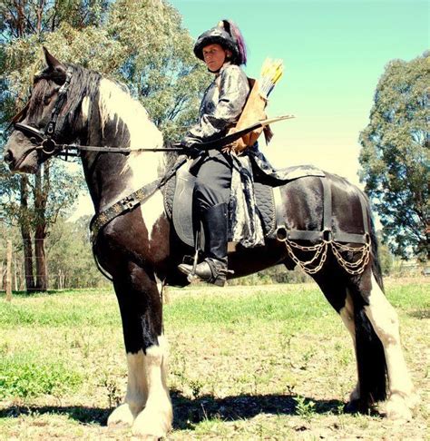 Medieval Horse Sports Australia Barbarian Look Horse Costumes