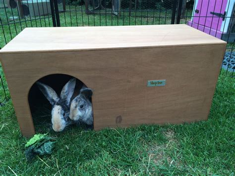 New Giant Rabbit Hideout Shelter Fun Dog House Too Hop Inn