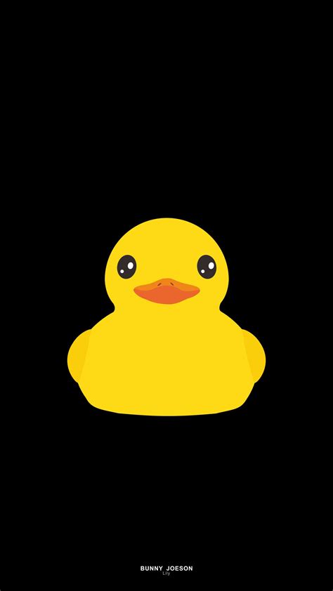 Duck Wallpapers On Wallpaperdog